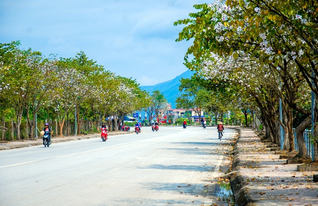 Mùa hoa ban đến rồi, lên đường đi Điện Biên thôi! ảnh 1