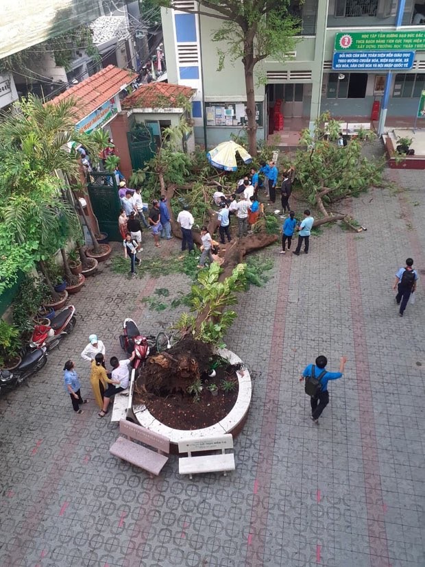 Vụ cây phượng bật gốc tại trường: Học sinh lớp 6 khóc nức nở khi nghe tin bạn tử vong ảnh 2