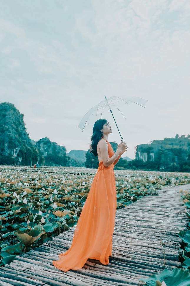 Đẹp lụy tim con đường gỗ giữa cánh đồng sen đang nở rộ ở Hang Múa (Ninh Bình) ảnh 1