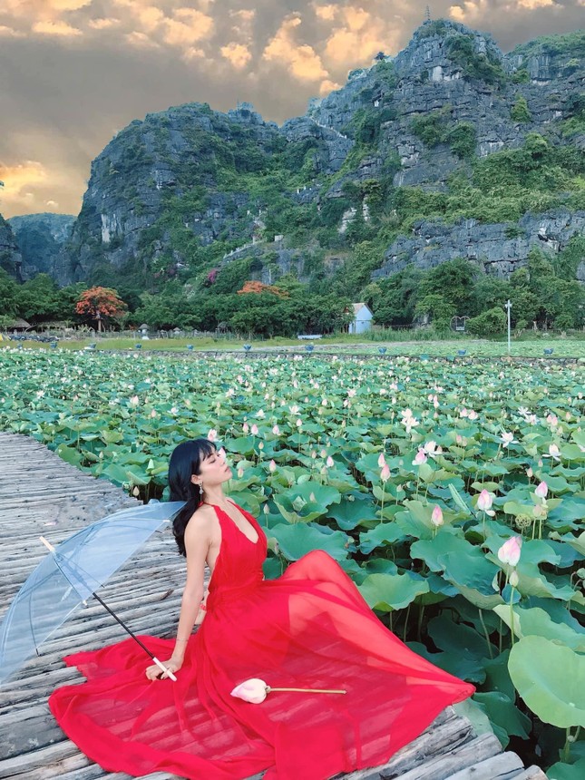 Đẹp lụy tim con đường gỗ giữa cánh đồng sen đang nở rộ ở Hang Múa (Ninh Bình) ảnh 2