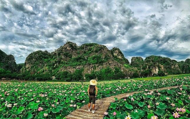 Ngỡ ngàng hồ sen nở rộ giữa Thu ở Hang Múa (Ninh Bình), giới trẻ tha hồ chụp ảnh “sống ảo“ ảnh 7