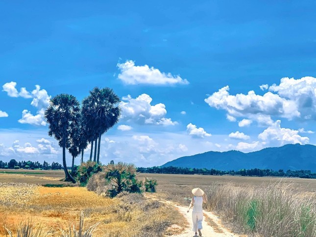 Rủ ngay hội bạn thân tới chụp ảnh “sống ảo” với cây thốt nốt hình trái tim ở An Giang nào! ảnh 2