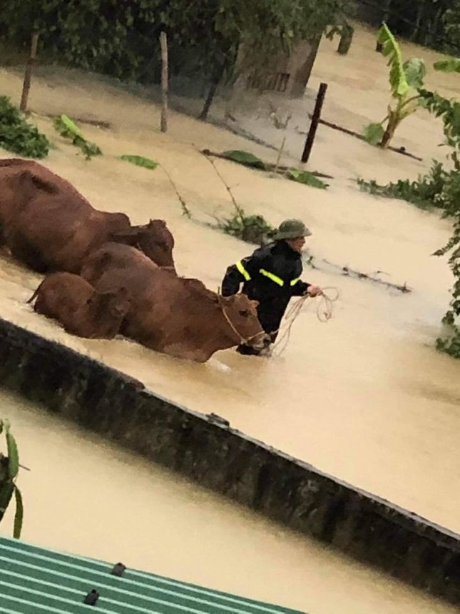 Cảnh tượng xót xa: Nhiều nơi tại Nghệ An ngập sâu trong nước lũ, khu vực biển bị sập bờ kè ảnh 4