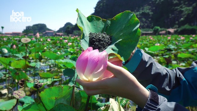 Sen Hang Múa (Ninh Bình) không chỉ đẹp mà còn gây sốt với trà, ẩm thực giữa trời Đông ảnh 1