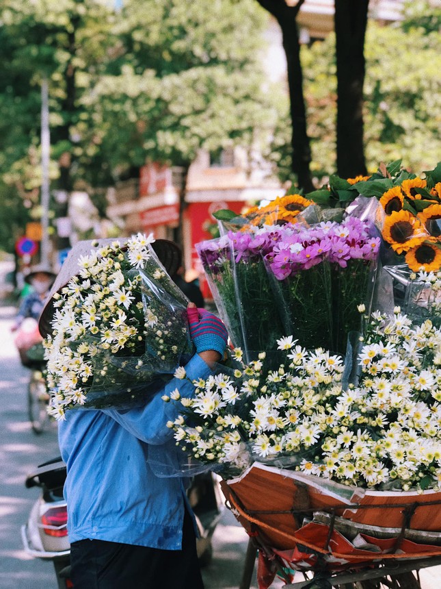 Một mùa cúc hoạ mi xinh xắn lại đến: “Lên đồ” cùng hội BFF để có những tấm ảnh “nghìn like” nào! ảnh 3