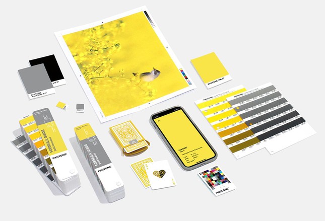 Pantone công bố hai “Màu sắc của năm 2021”: Tưởng đối lập nhưng lại rất ý nghĩa! ảnh 5