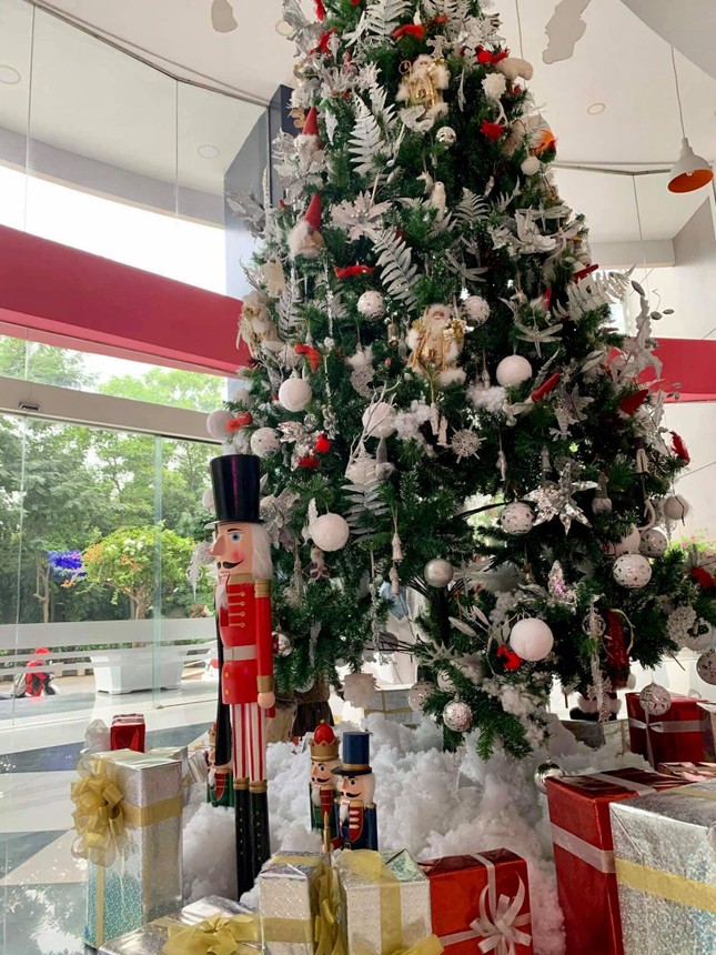 Hà Nội: Đại học Thăng Long có cây thông “siêu to khổng lồ” để sinh viên check-in mùa Noel ảnh 6