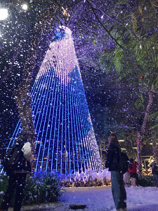 Hà Nội: Đại học Thăng Long có cây thông “siêu to khổng lồ” để sinh viên check-in mùa Noel ảnh 2