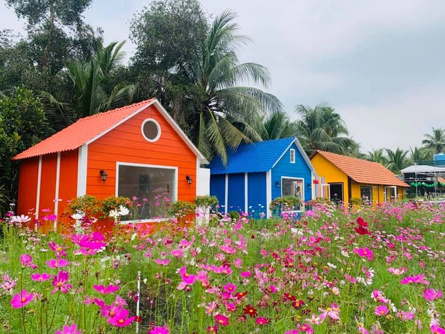Địa điểm check-in Tết Dương lịch 2021: “Vườn hoa Đà Lạt” giữa lòng Sài Gòn hút giới trẻ ảnh 3