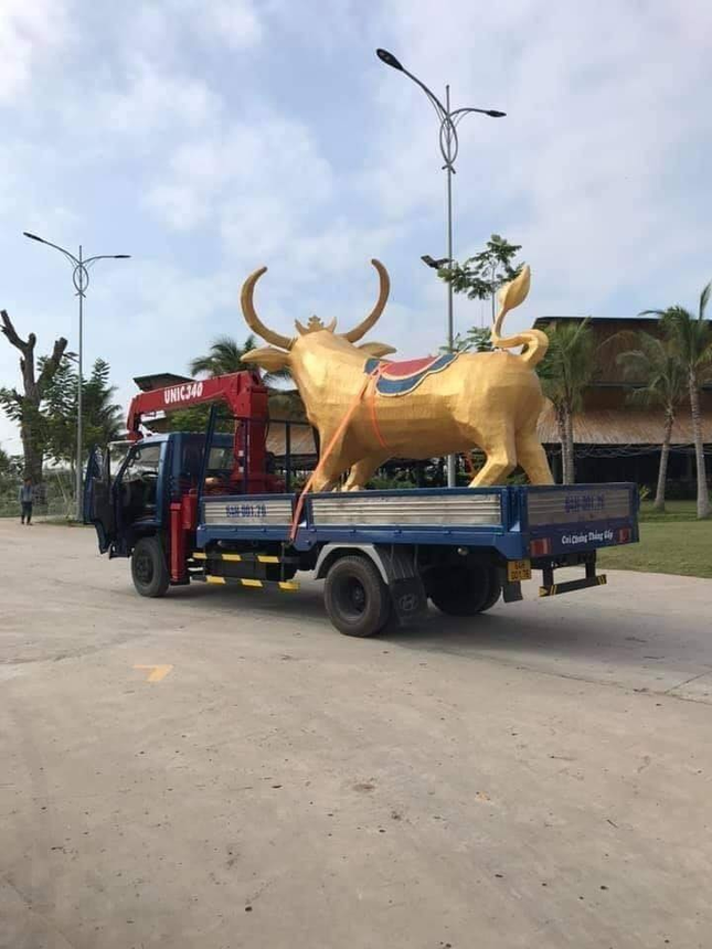 Biểu cảm siêu hài hước của “Trâu vàng” Tân Sửu ở tỉnh Vĩnh Long: Tôi là ai và đây là đâu? ảnh 1