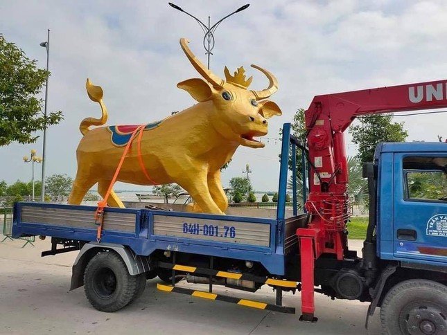 Biểu cảm siêu hài hước của “Trâu vàng” Tân Sửu ở tỉnh Vĩnh Long: Tôi là ai và đây là đâu? ảnh 3