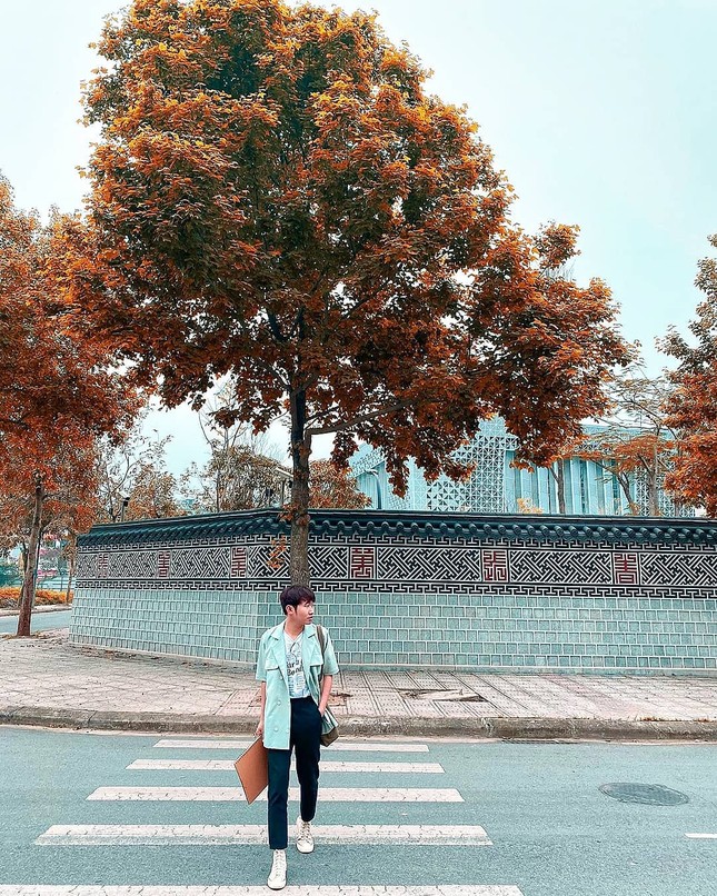 Con đường lá phong đỏ được mệnh danh “Seoul giữa lòng Hà Nội“: Ảnh thực tế khác xa! ảnh 2
