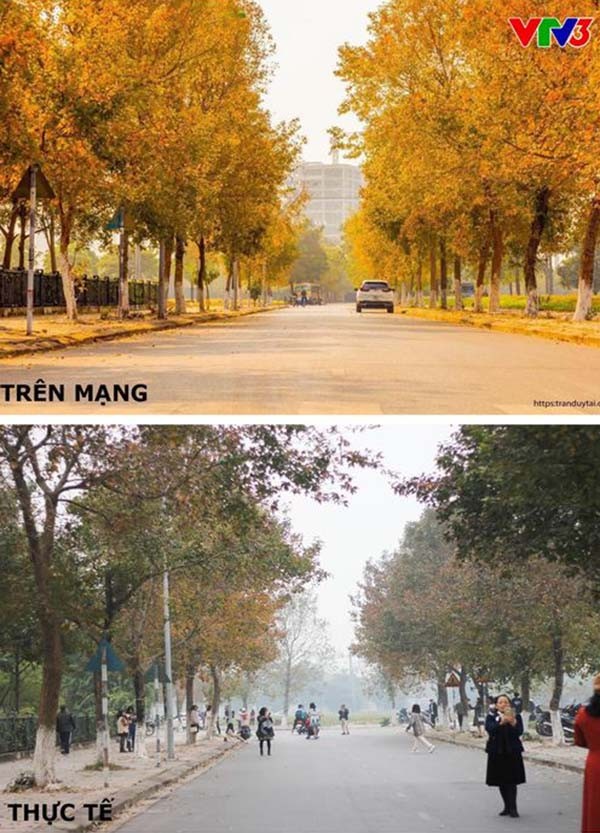 Con đường lá phong đỏ được mệnh danh “Seoul giữa lòng Hà Nội“: Ảnh thực tế khác xa! ảnh 5