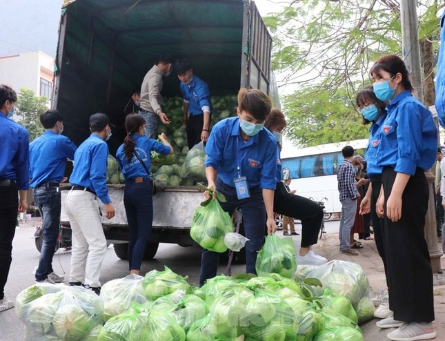 Tuổi trẻ Bắc Ninh chung tay “giải cứu” gần 6 tấn nông sản cho bà con Hải Dương ảnh 2