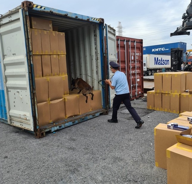 Hải Phòng bắt lô thuốc lá 555 giả lớn nhất từ trước đến nay ảnh 1