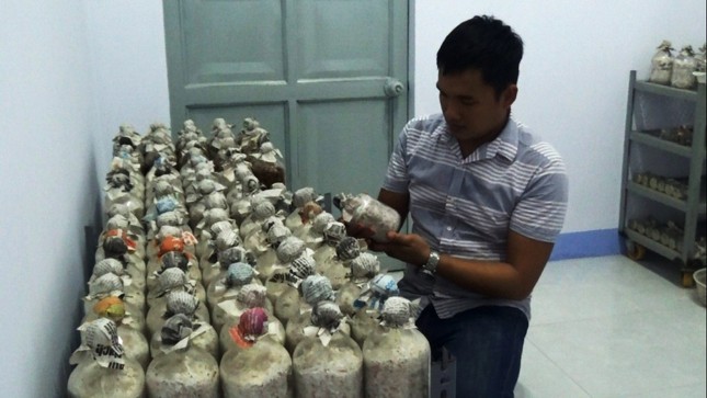 Bỏ du học Nhật, chàng trai 9X theo đuổi ước mơ nấm sạch ảnh 2