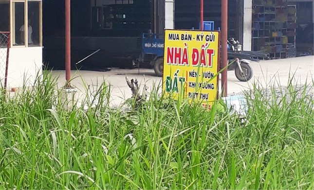 'Sốt' đất nền lan khắp Sài Gòn, đua nhau tách thửa bán ảnh 6