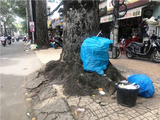 TPHCM sử dụng camera phạt nguội, 'bêu tên' người xả rác ảnh 1