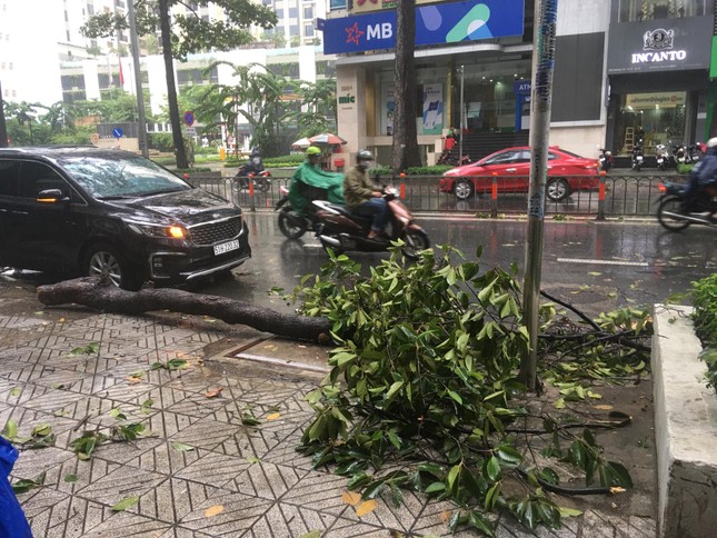 Cây đè gãy tay người đi đường trong cơn mưa lớn ở Sài Gòn ảnh 1