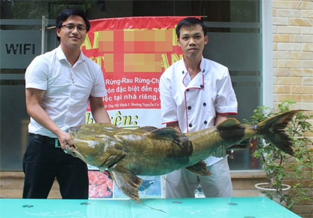 'Quái ngư' sông Đà và những cuộc 'vật lộn' ly kỳ giữa người và cá ảnh 3