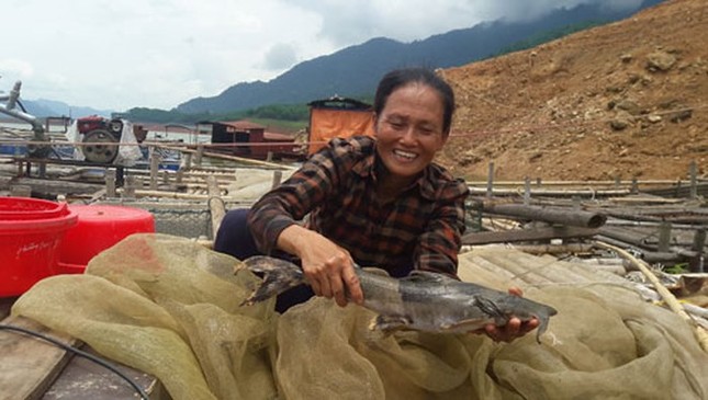 'Quái ngư' sông Đà và những cuộc 'vật lộn' ly kỳ giữa người và cá ảnh 8