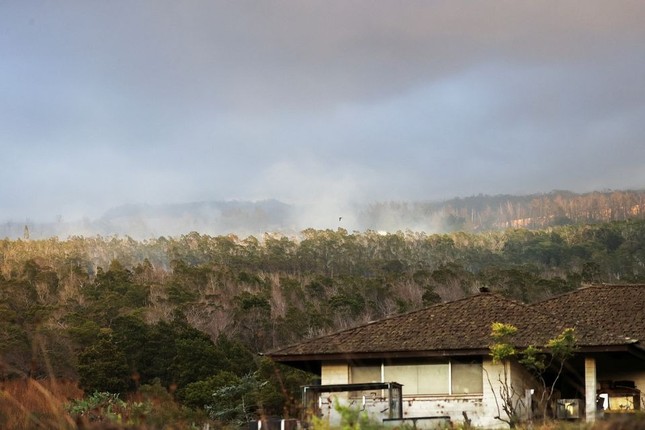Đám cháy rừng tàn phá thành phố nghỉ dưỡng ở Hawaii, 36 người thiệt mạng ảnh 12
