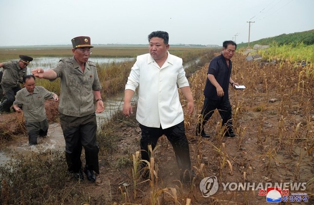 Ông Kim Jong-un thị sát vùng lũ lụt, chỉ trích các quan chức cấp cao 'vô trách nhiệm' ảnh 4