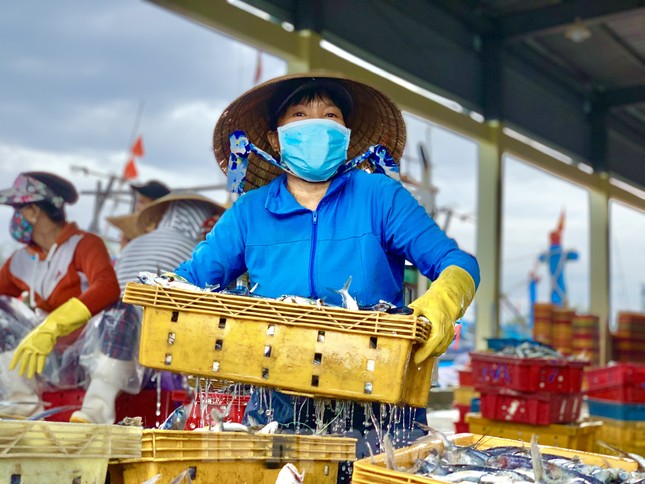 Giá dầu tăng liên tiếp, tàu cá nguy cơ phải nằm bờ ảnh 22