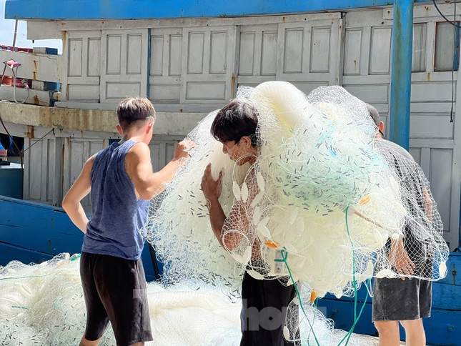 Giá dầu tăng liên tiếp, tàu cá nguy cơ phải nằm bờ ảnh 16