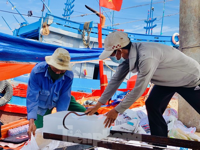 Giá dầu tăng liên tiếp, tàu cá nguy cơ phải nằm bờ ảnh 15