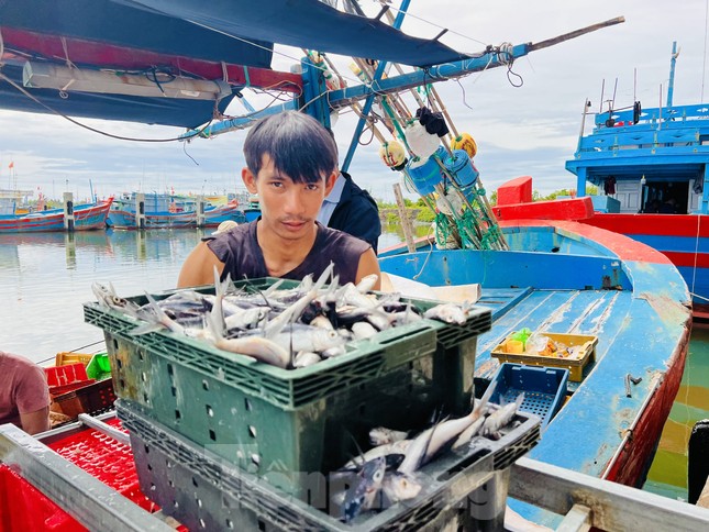 Giá dầu tăng liên tiếp, tàu cá nguy cơ phải nằm bờ ảnh 21