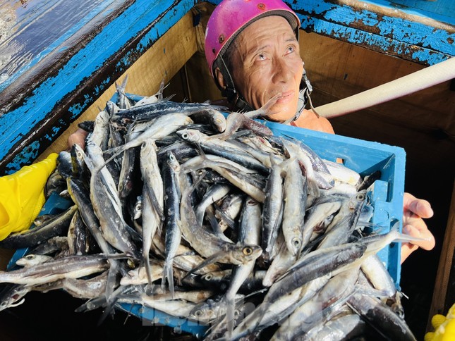 Giá dầu tăng liên tiếp, tàu cá nguy cơ phải nằm bờ ảnh 20