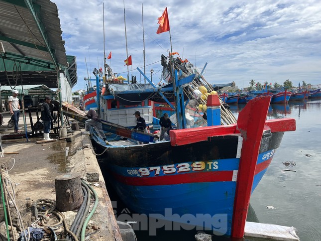 Giá dầu tăng liên tiếp, tàu cá nguy cơ phải nằm bờ ảnh 4
