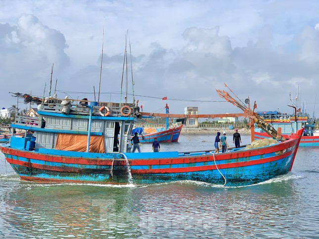 Giá dầu tăng liên tiếp, tàu cá nguy cơ phải nằm bờ ảnh 7