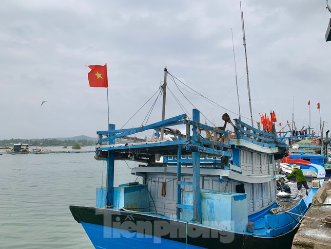 Giá dầu tăng liên tiếp, tàu cá nguy cơ phải nằm bờ ảnh 8