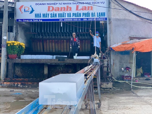 Giá dầu tăng liên tiếp, tàu cá nguy cơ phải nằm bờ ảnh 11