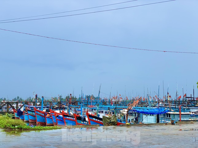 Giá dầu tăng liên tiếp, tàu cá nguy cơ phải nằm bờ ảnh 23