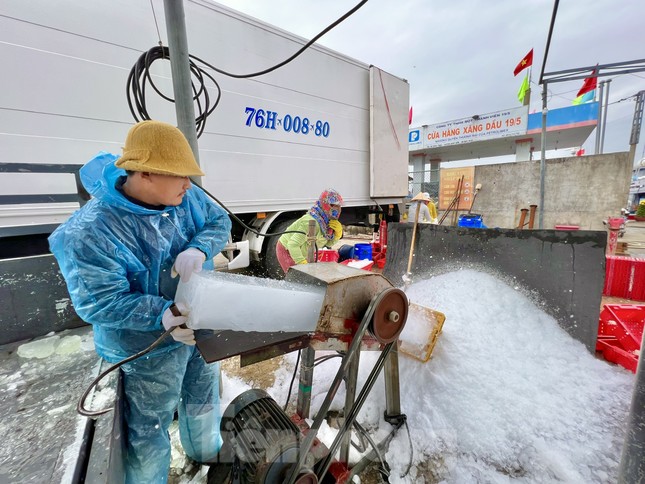 Giá dầu tăng liên tiếp, tàu cá nguy cơ phải nằm bờ ảnh 12