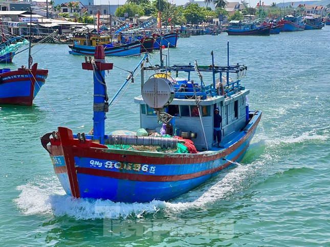 Giá dầu tăng liên tiếp, tàu cá nguy cơ phải nằm bờ ảnh 26