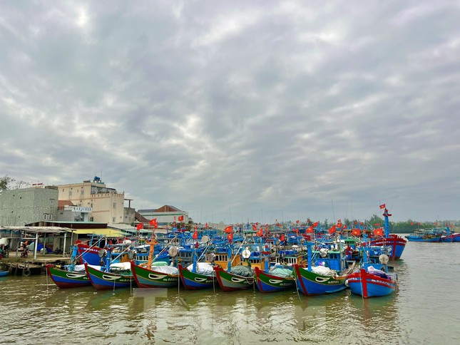 Giá dầu tăng liên tiếp, tàu cá nguy cơ phải nằm bờ ảnh 24