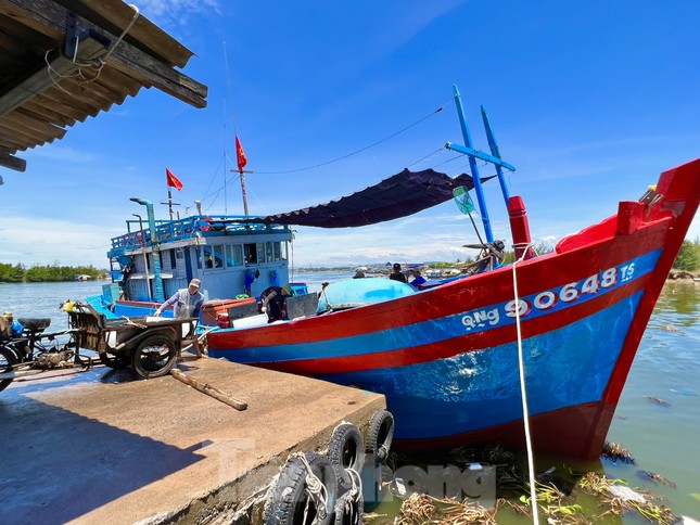 Giá dầu tăng liên tiếp, tàu cá nguy cơ phải nằm bờ ảnh 5