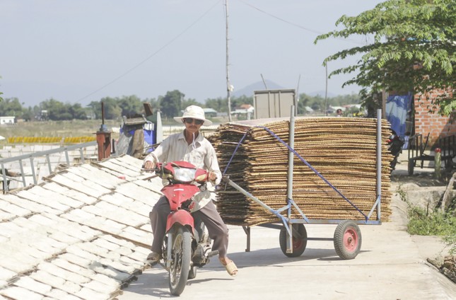 Làng nghề bún ‘tiến vua’ nổi tiếng nhất Bình Định nhộn nhịp vào Tết ảnh 3