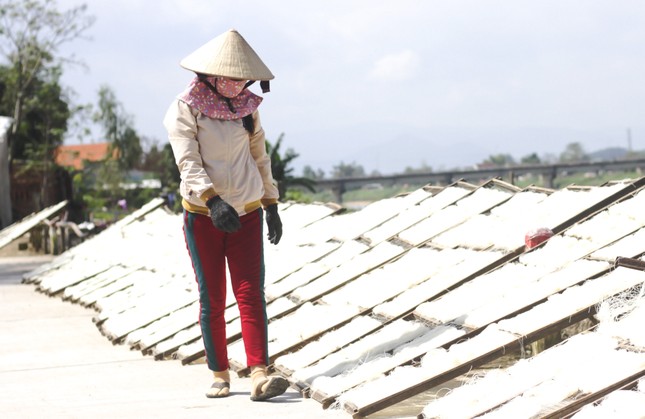 Làng nghề bún ‘tiến vua’ nổi tiếng nhất Bình Định nhộn nhịp vào Tết ảnh 9