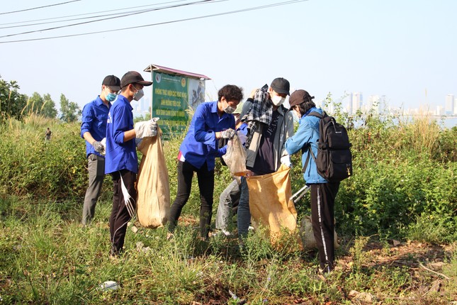 Hàng trăm bạn trẻ dọn rác trên Bán đảo Sơn Trà ảnh 2