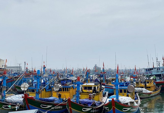 Hàng trăm du khách vội vã rời đảo Lý Sơn để tránh bão số 5 ảnh 6