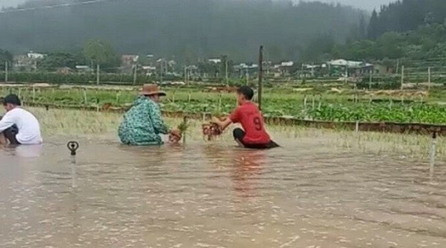 Ảnh hưởng bão số 6: Sạt lở núi chia cắt nhiều tuyến đường, Quảng Ngãi thiệt hại nặng ảnh 6