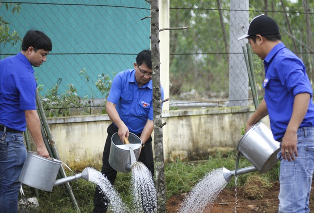 Tuổi trẻ Bình Định làm nhiều phần việc ý nghĩa chào mừng 90 năm ngày thành lập Đoàn ảnh 6