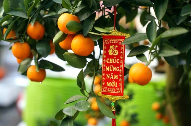 Một Hà Nội thật xinh những ngày Xuân tới: Diện áo dài đi chợ Tết, chụp ảnh cùng hoa đào ảnh 7