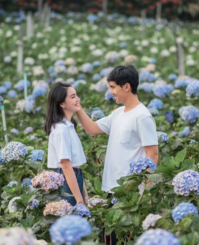 Top 3 mỹ nhân hàng đầu showbiz Thái Lan: Tài sắc vẹn toàn, công danh sự nghiệp viên mãn ảnh 9