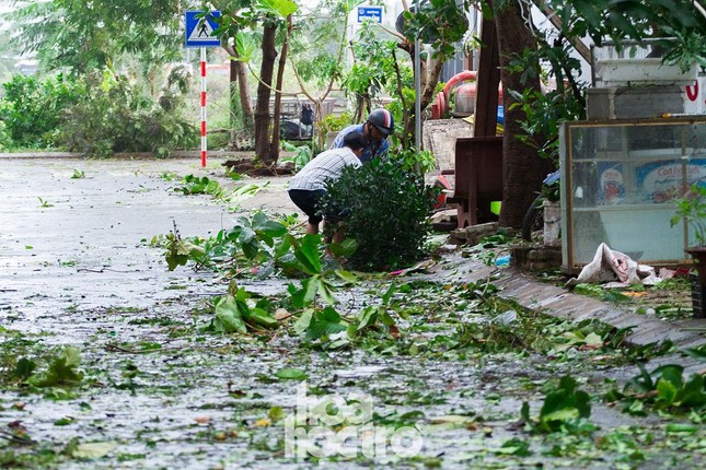 Đà Nẵng sau cơn cuồng phong bão số 9: Mỗi người một tay dọn dẹp cảnh ngổn ngang ảnh 1